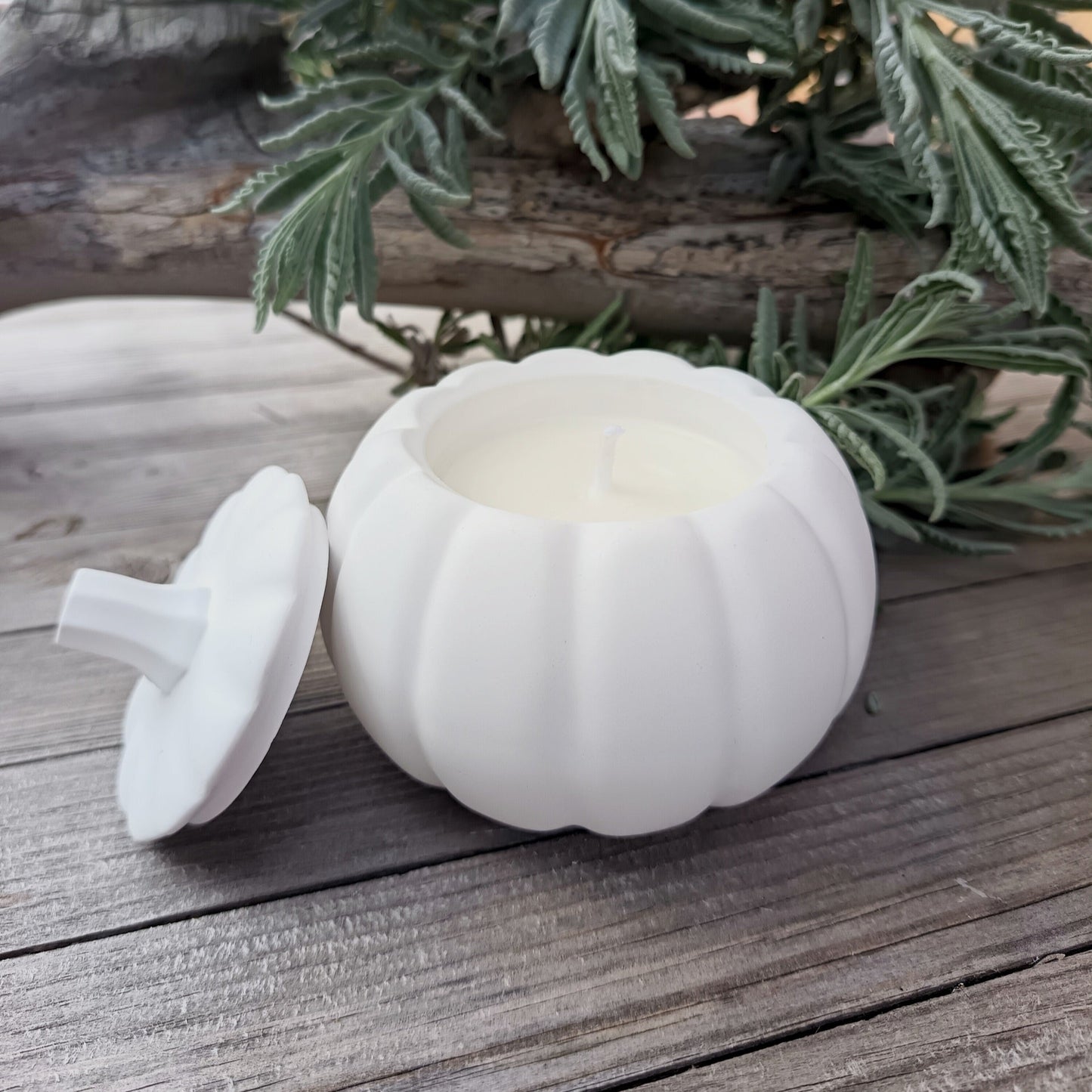 Vela calabaza - Velassa.com